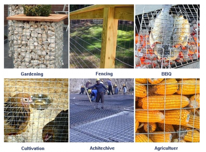 Lồng động vật BWG23 Lưới thép hàn không gỉ 1/2 inch 201 Lớp 1